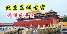 女生娇踹的啊啊啊啊哦哦哦哦啊啊啊啊中国北京-东城古宫旅游风景区